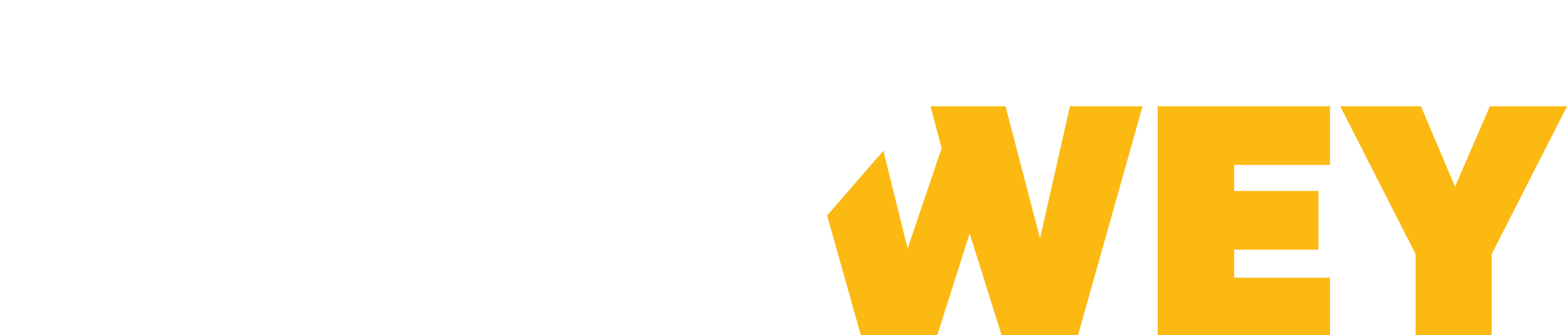 cropped-cropped-LOGO_SOLUWEY_cropped.png